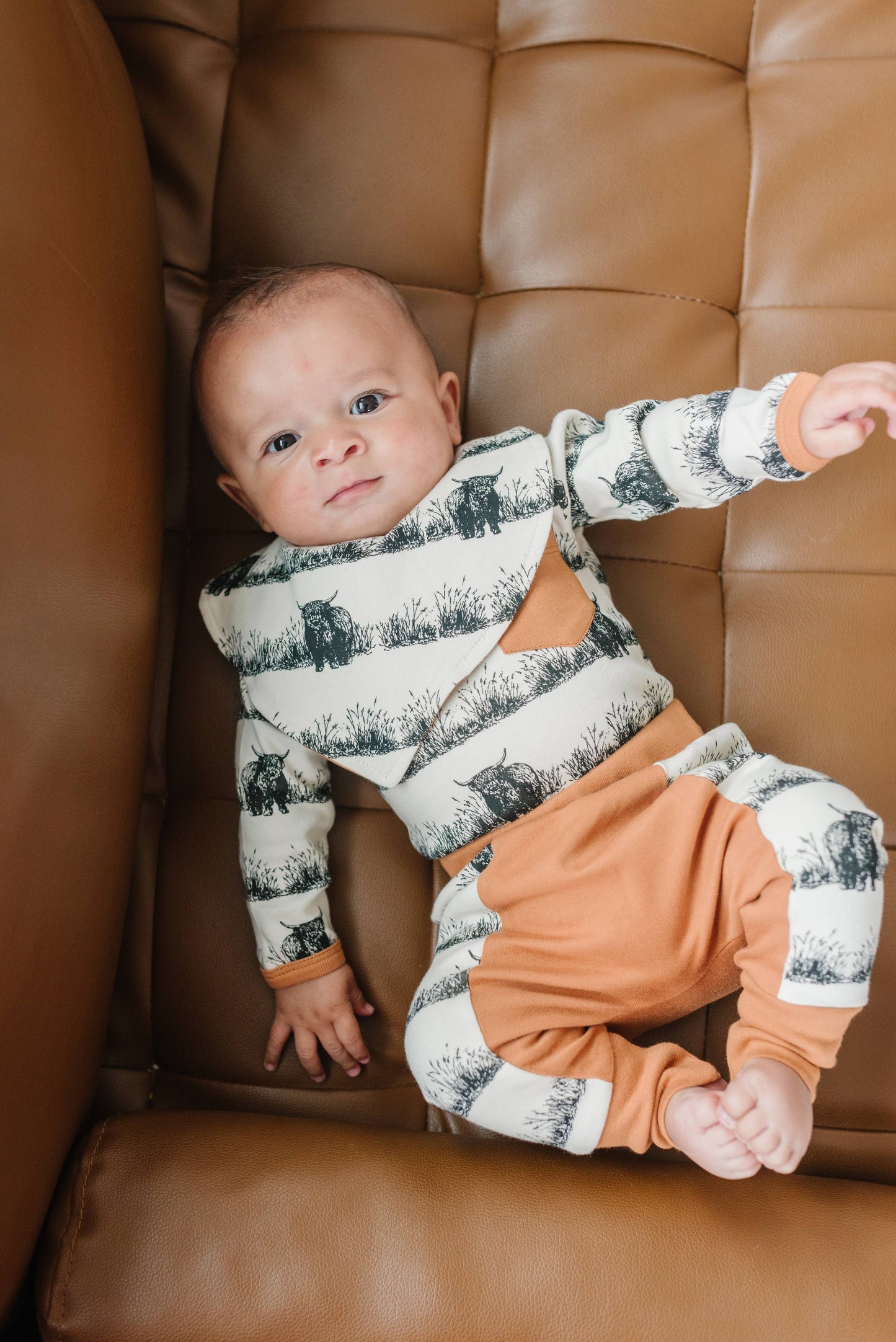 Organic Cotton Bib - Highland Cow